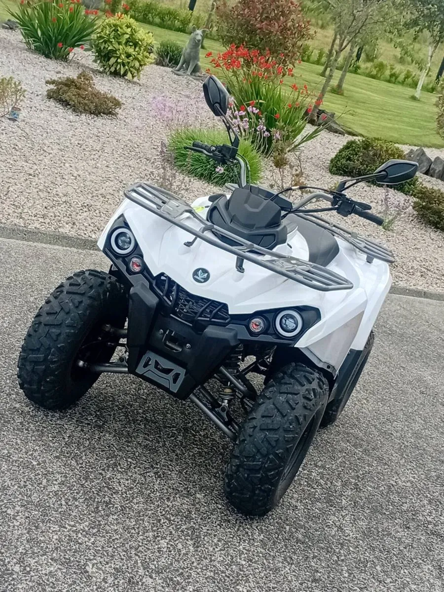2 pentora hammer 200 quads - Image 2