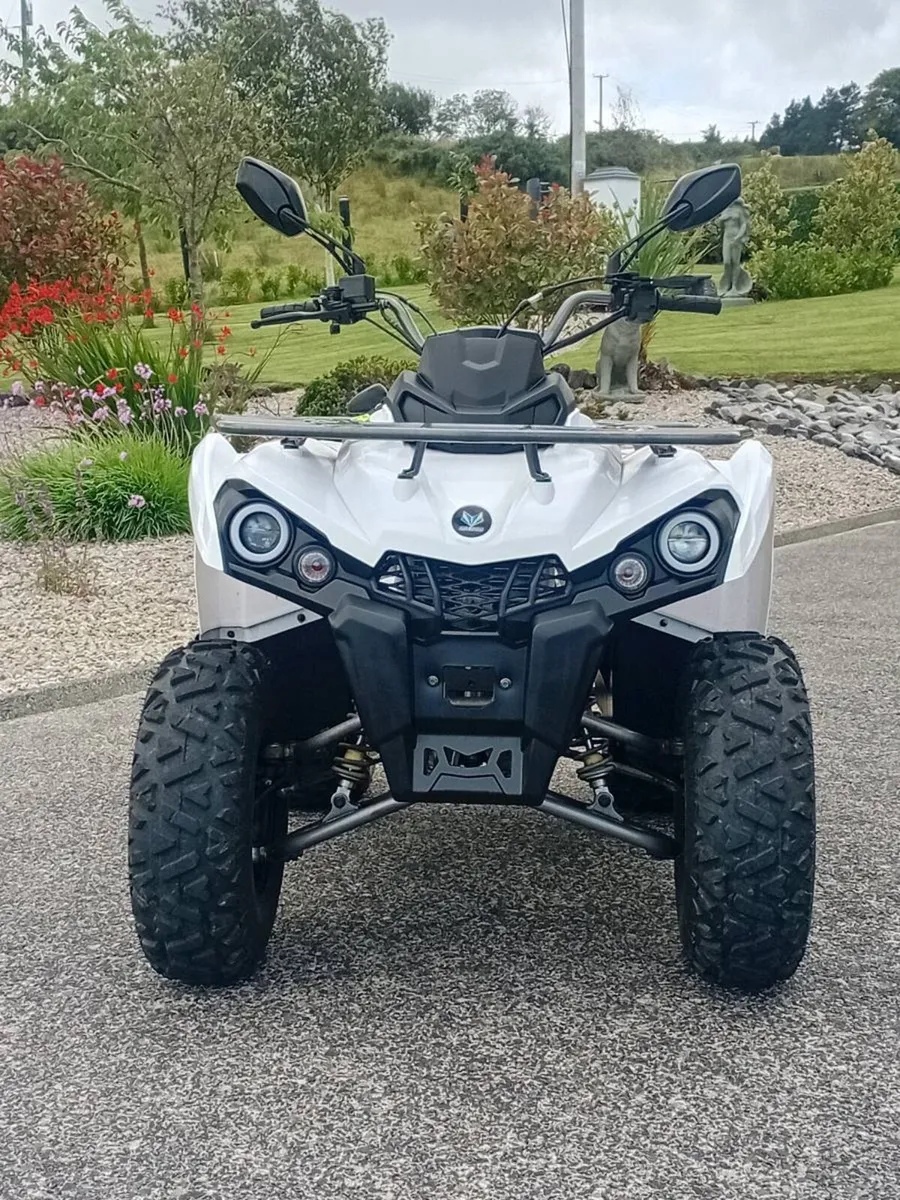 2 pentora hammer 200 quads - Image 3