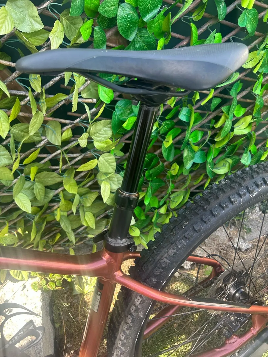 Mountain bike - Image 2