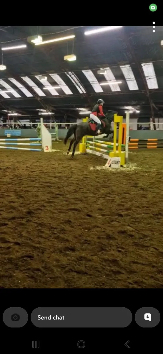 Pony - Image 4