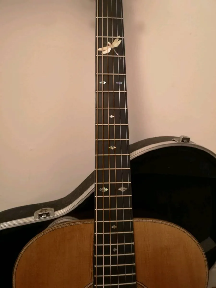 Fylde Alexander Custom - Image 4