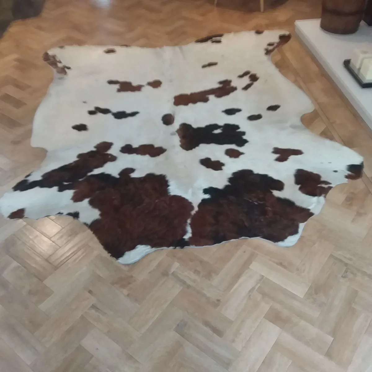 Cowhide Rug - Image 1