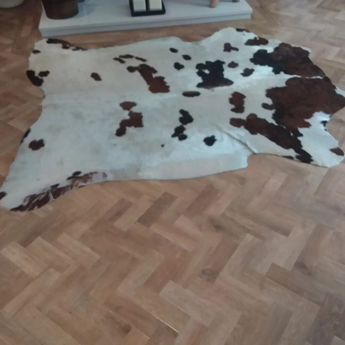 Cowhide Rug - Image 2