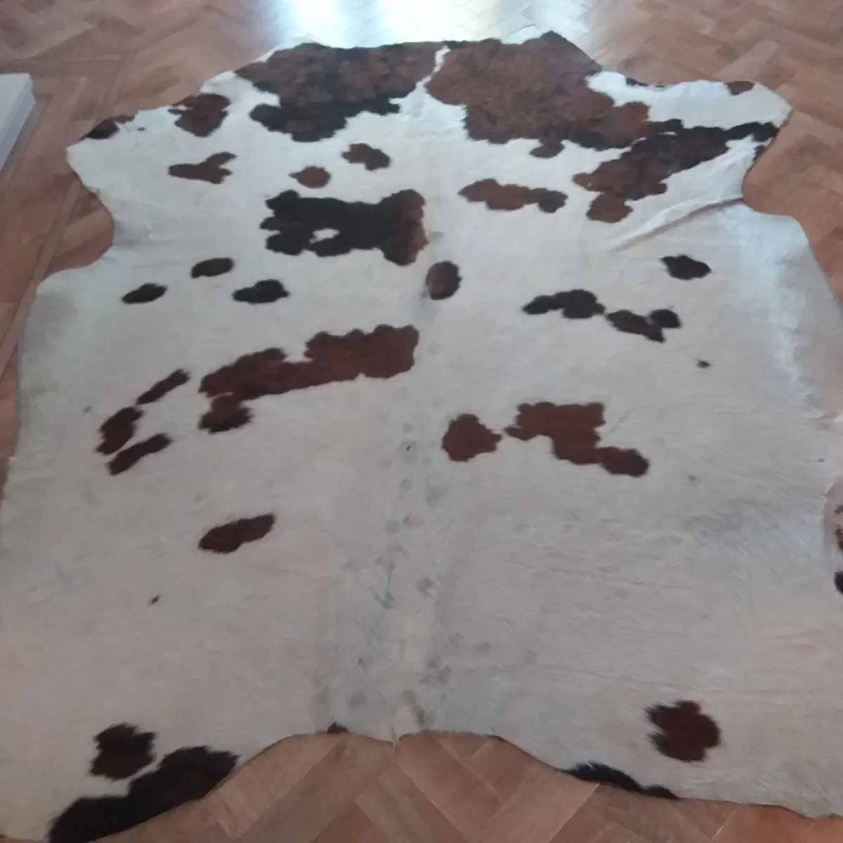 Cowhide Rug - Image 4