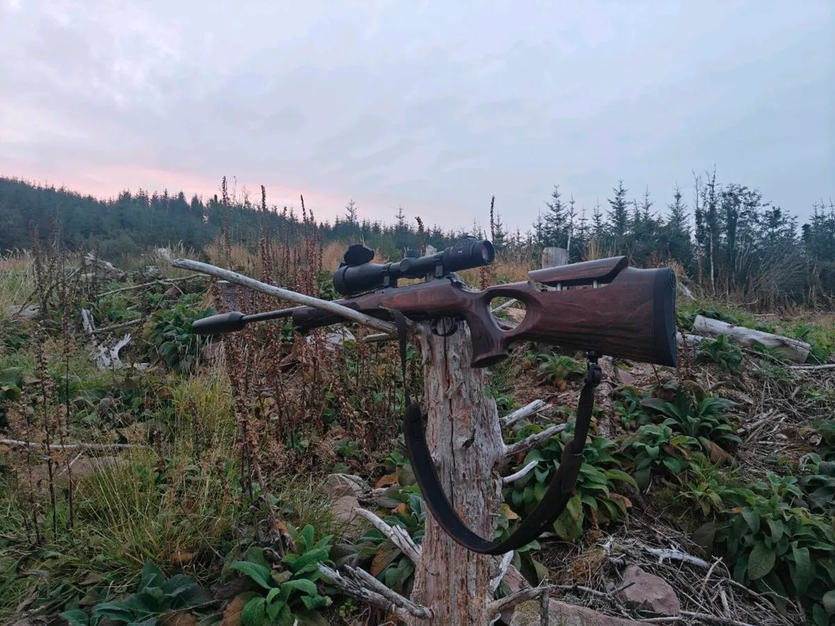 Deer stalker looking for hunting grounds - Image 2