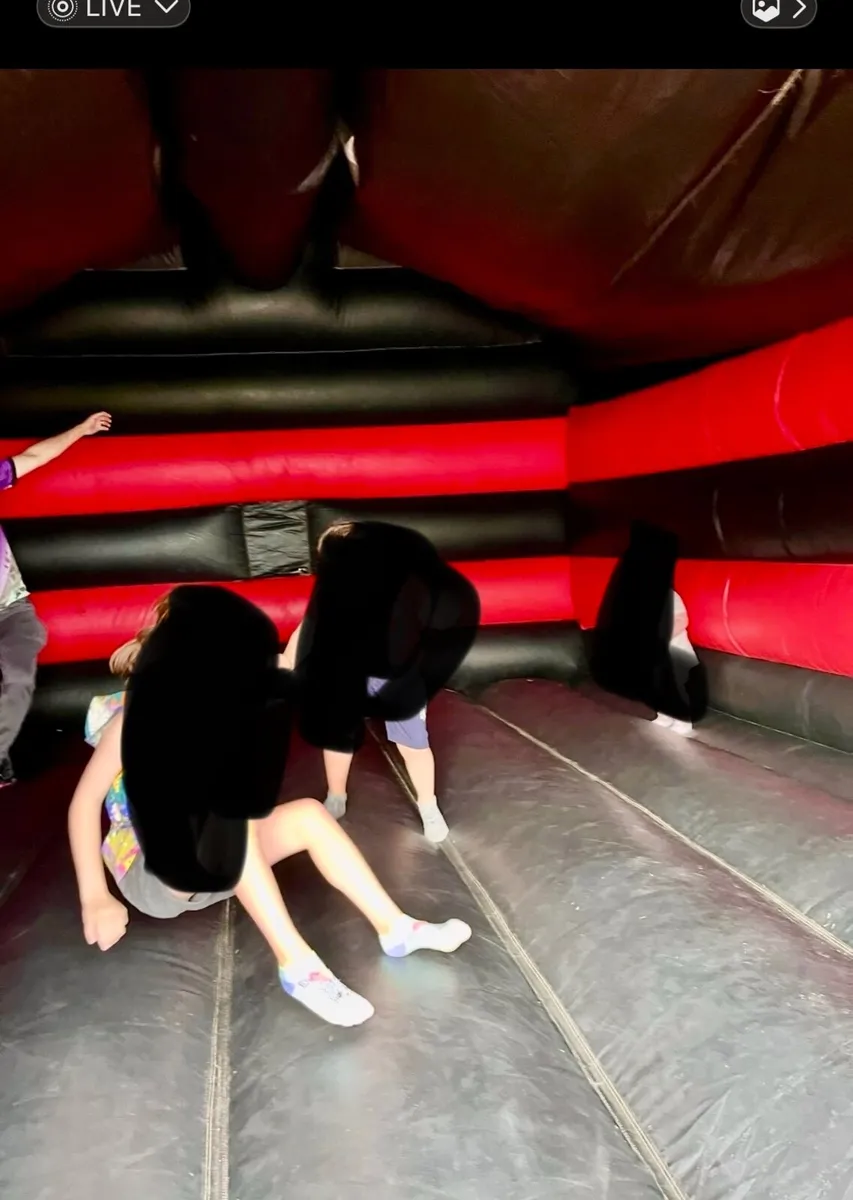 Bouncy Castle - Image 2