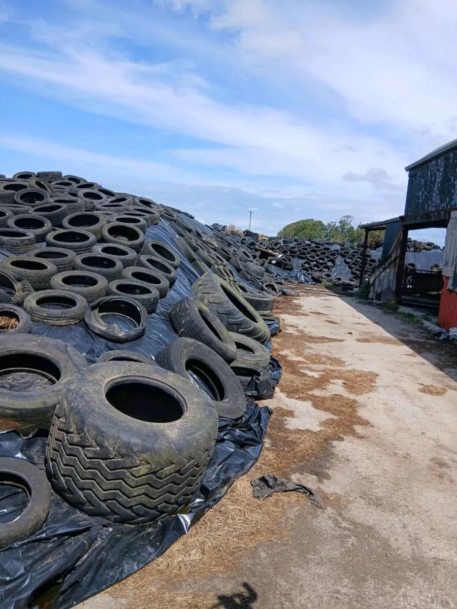 Silage - Image 1