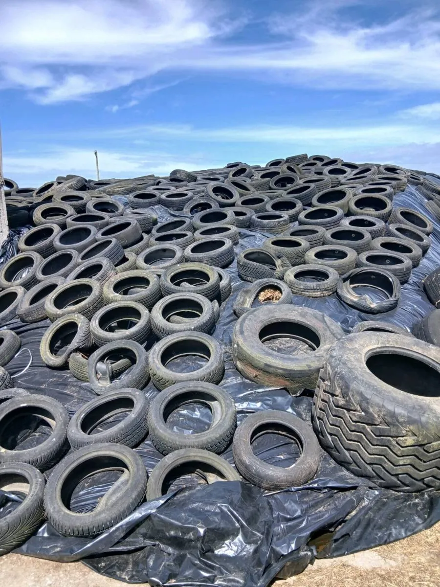 Silage - Image 2