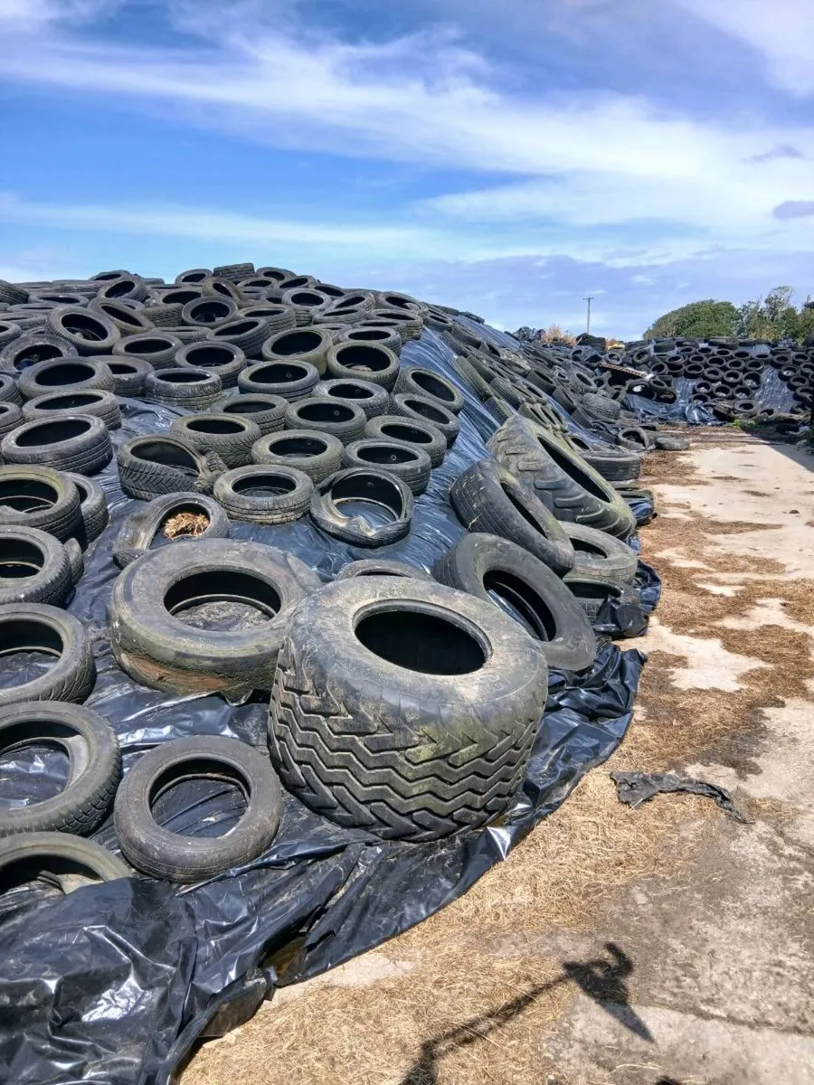Silage - Image 3
