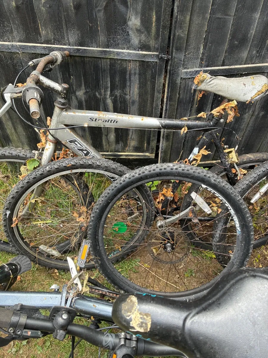 Bicycles - Image 2