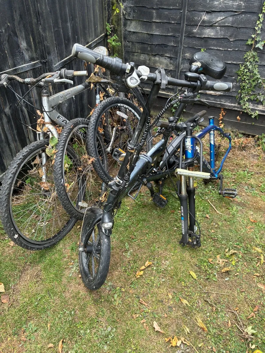 Bicycles - Image 3