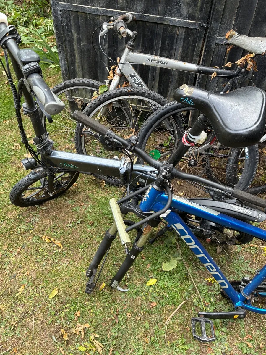Bicycles - Image 4