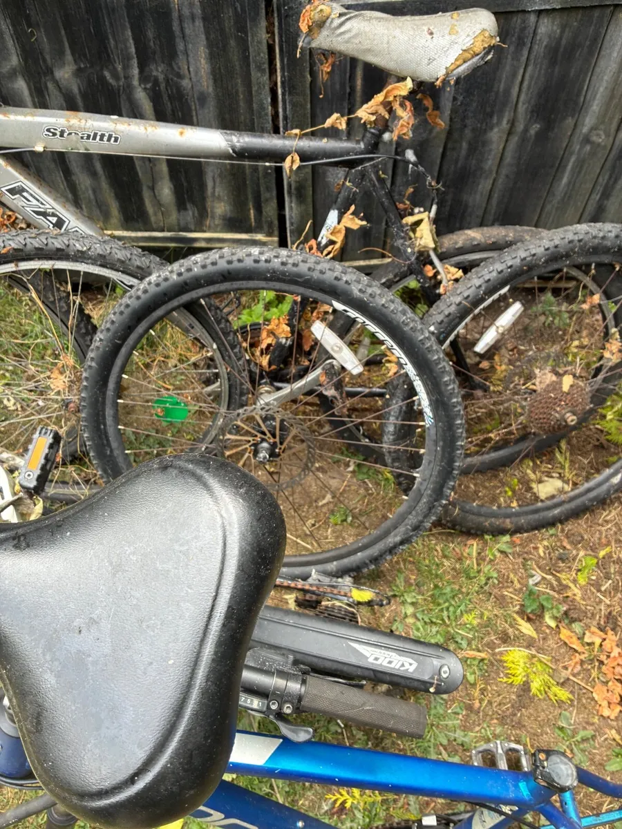 Bicycles - Image 1