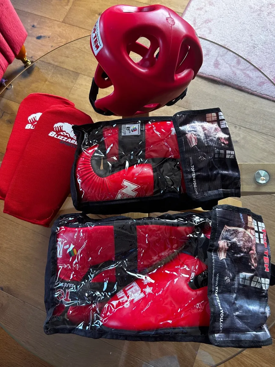 Kids Taekwondo sparring kit - Image 2