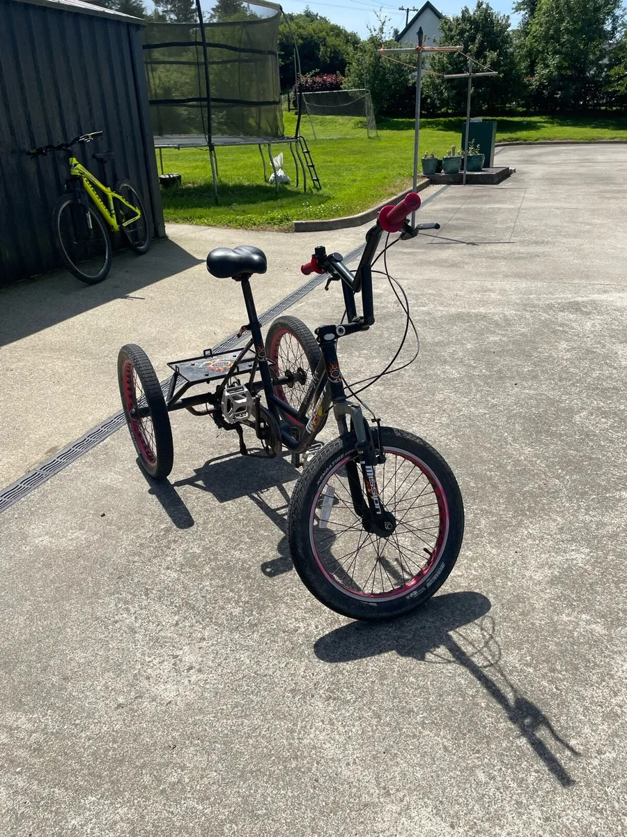 Trike - Image 1