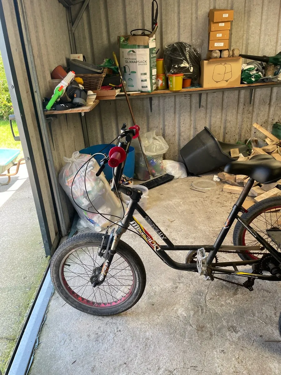 Trike - Image 3