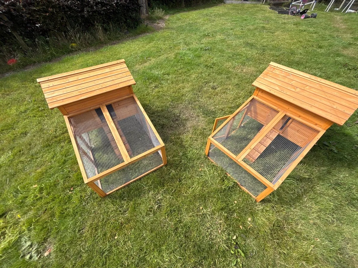 Chicken House - Starter kits - Kerry - Image 1