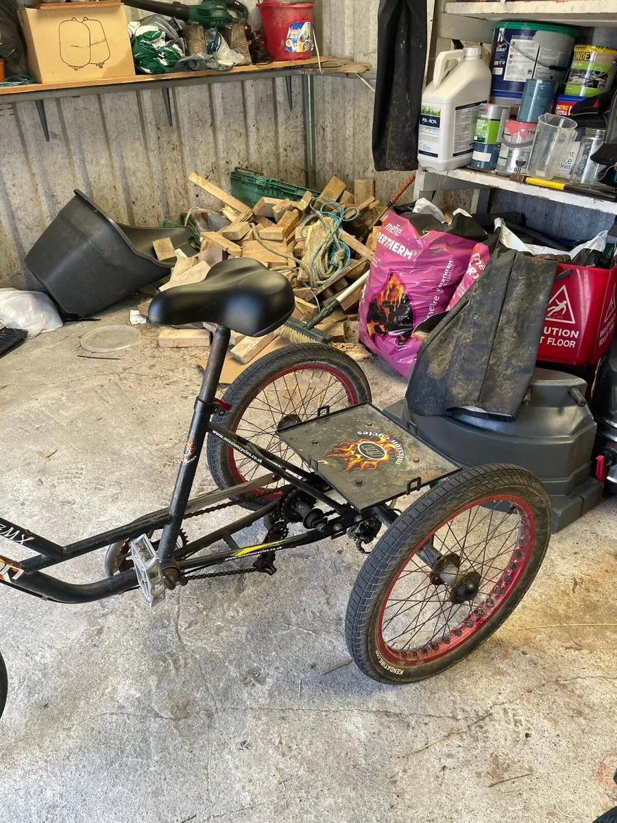 Trike - Image 4