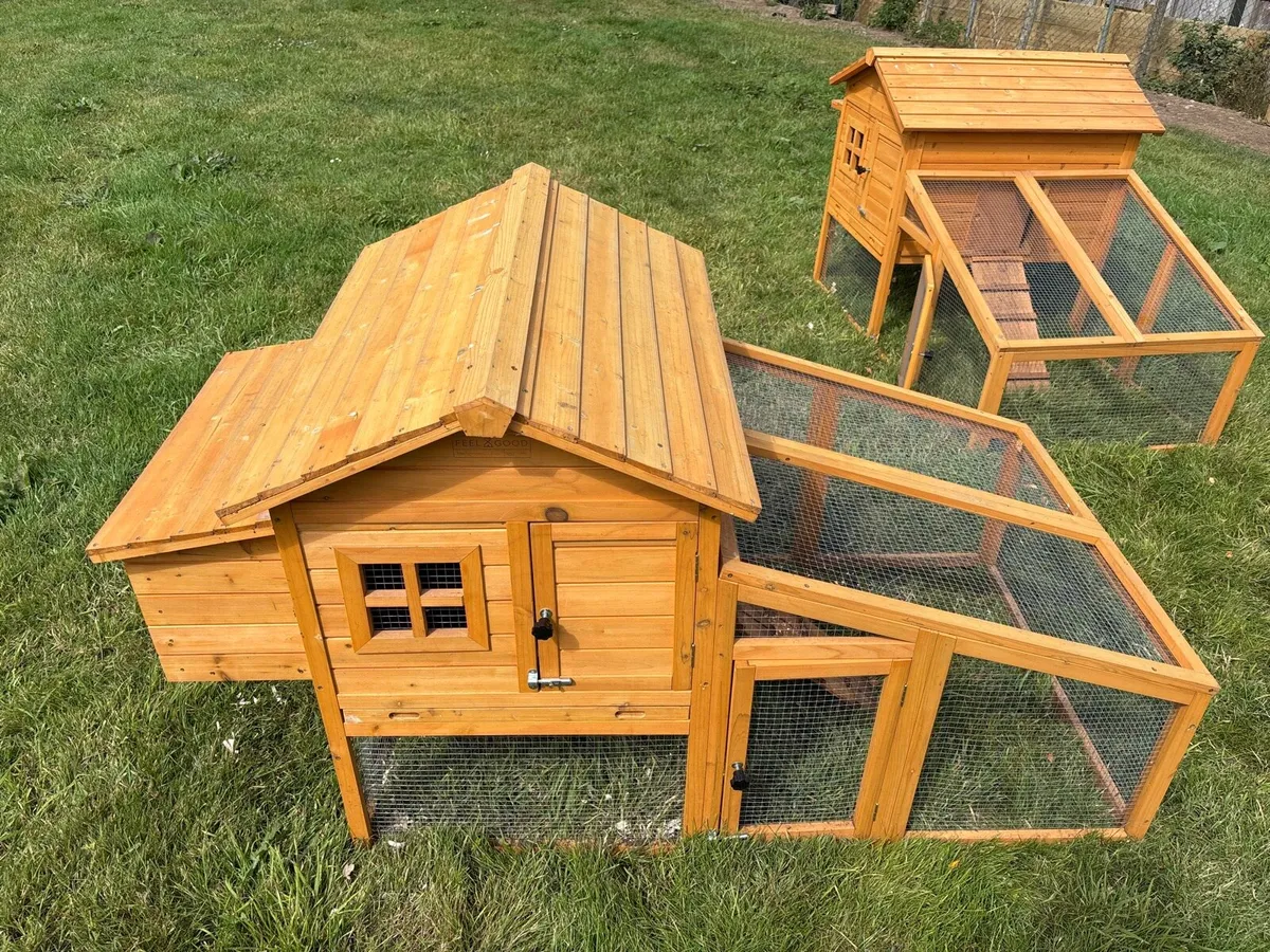 Chicken House - Starter kits - Kerry - Image 2