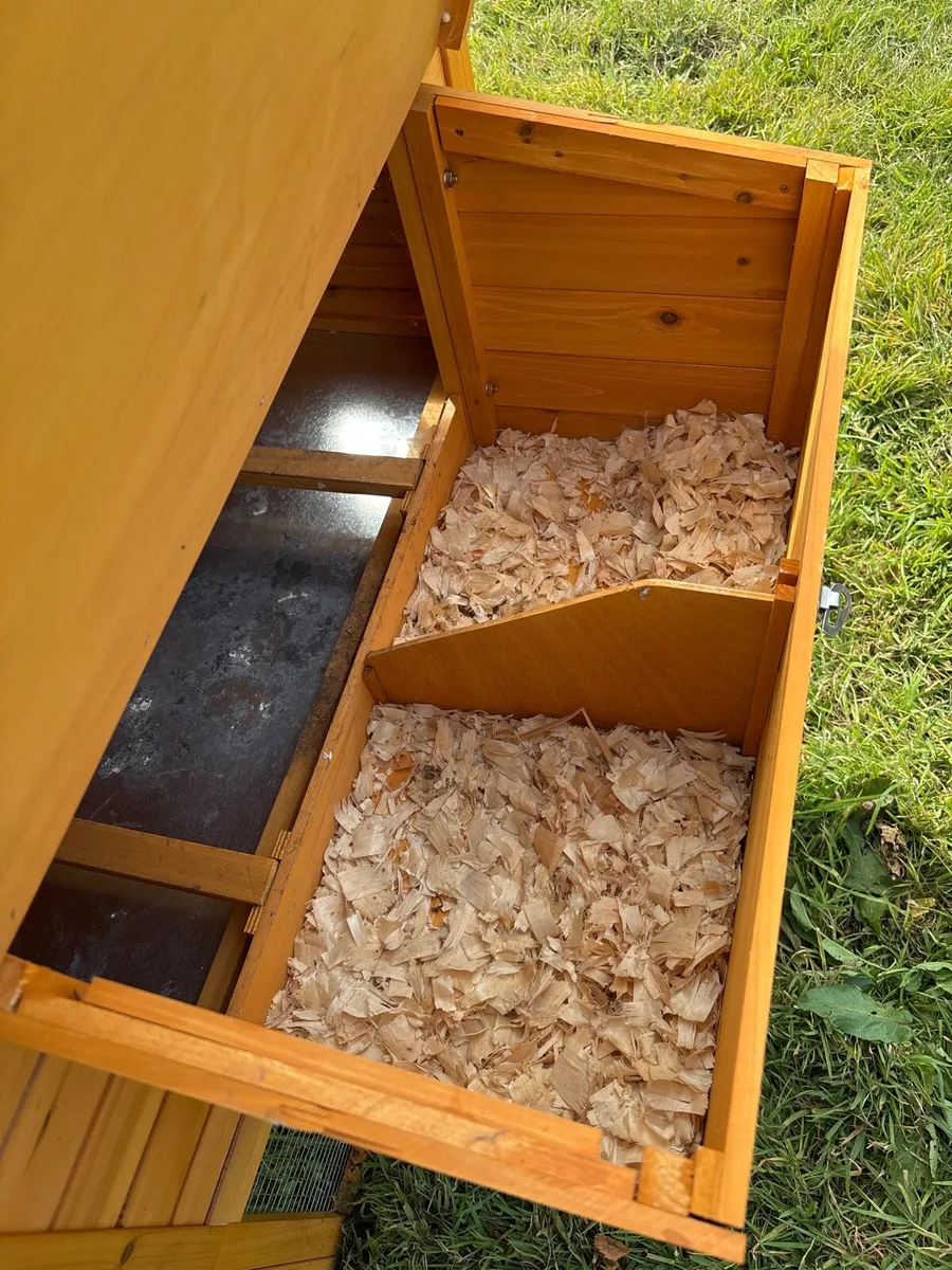 Chicken House - Starter kits - Kerry - Image 4