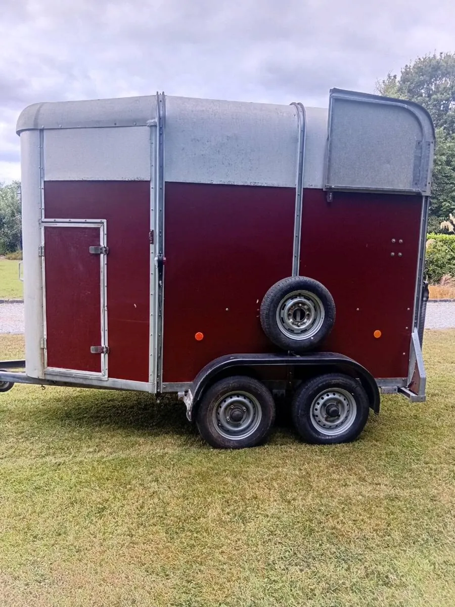 Ifor williams horsebox - Image 3