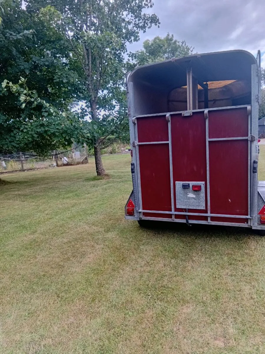 Ifor williams horsebox - Image 4