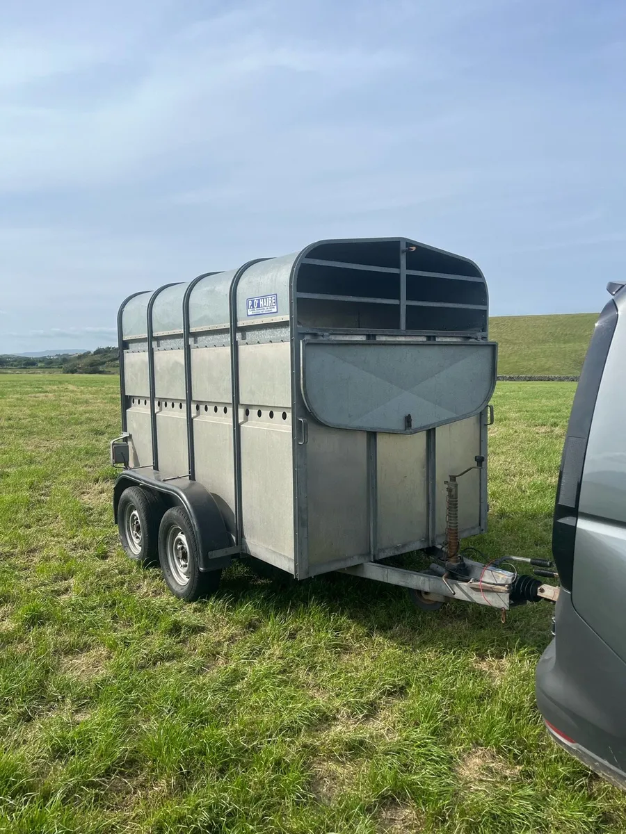 8x4ft7 cattle trailer for sale - Image 1