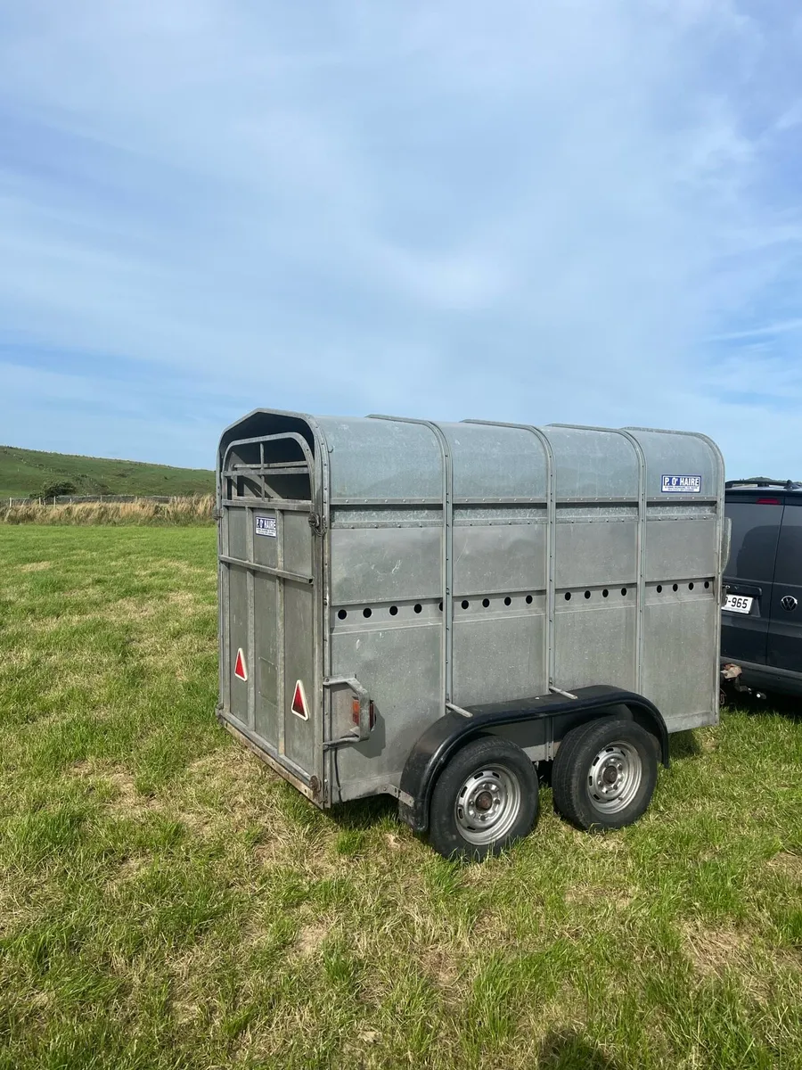 8x4ft7 cattle trailer for sale - Image 2
