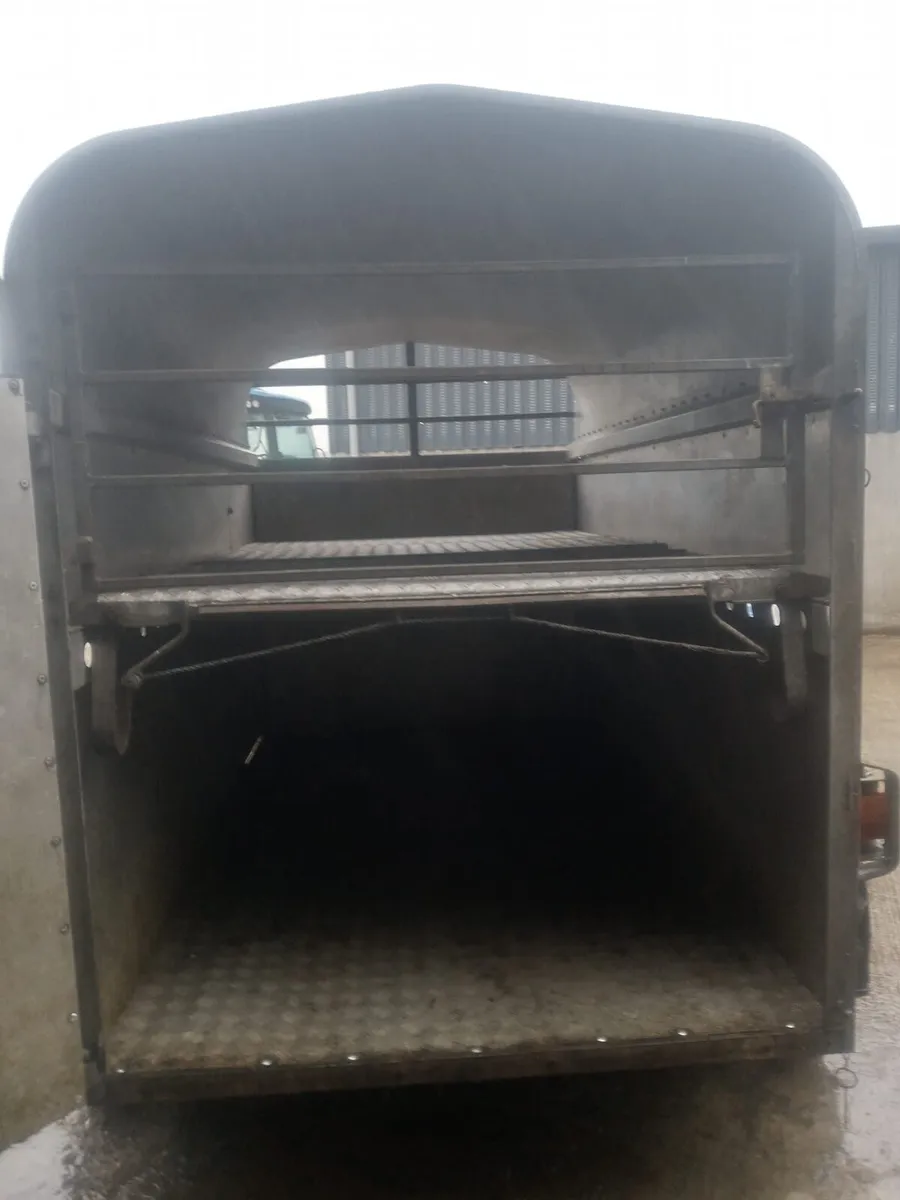 8x4ft7 cattle trailer for sale - Image 4