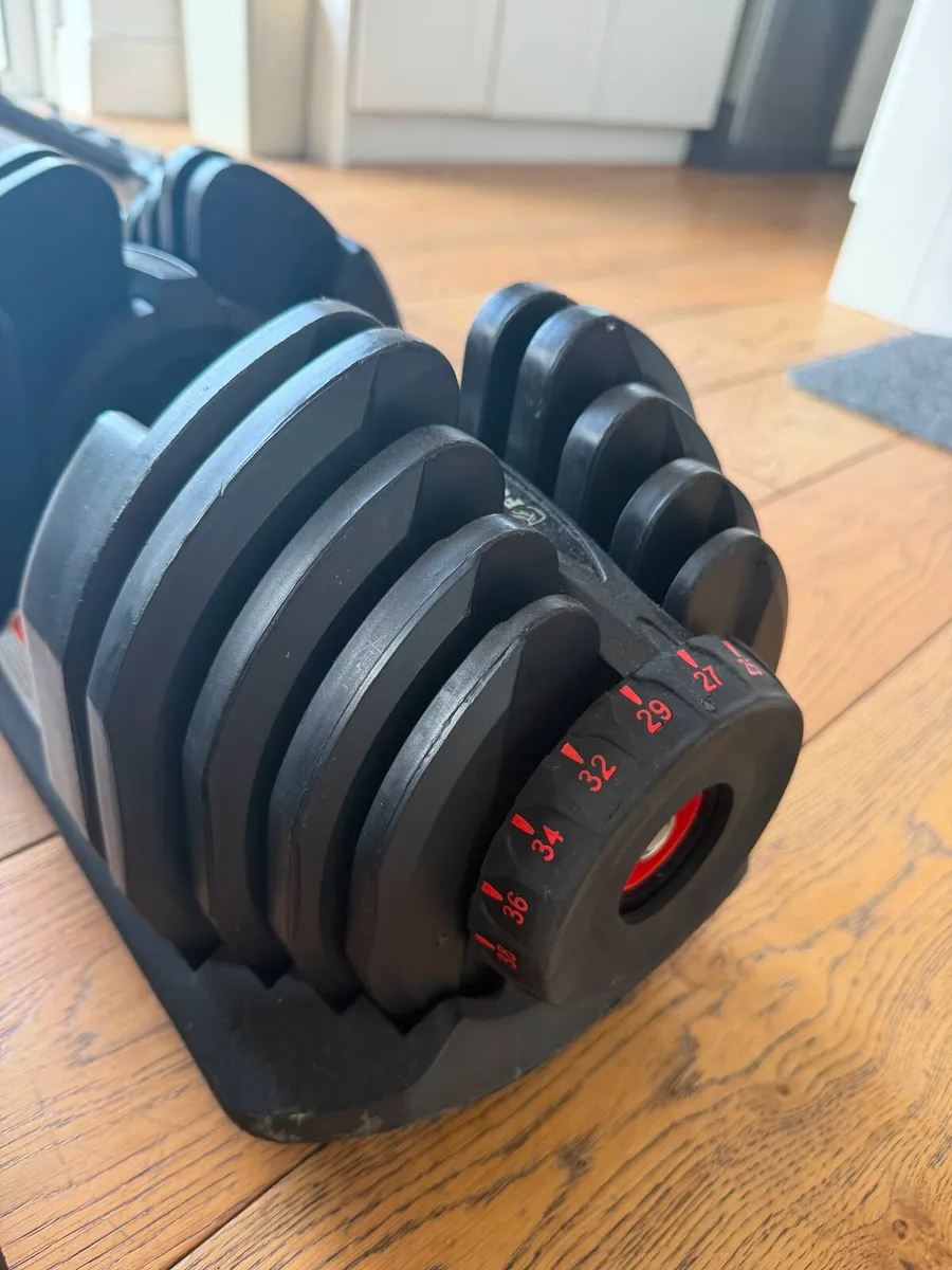 Adjustable Dumbells & Bench - Image 4