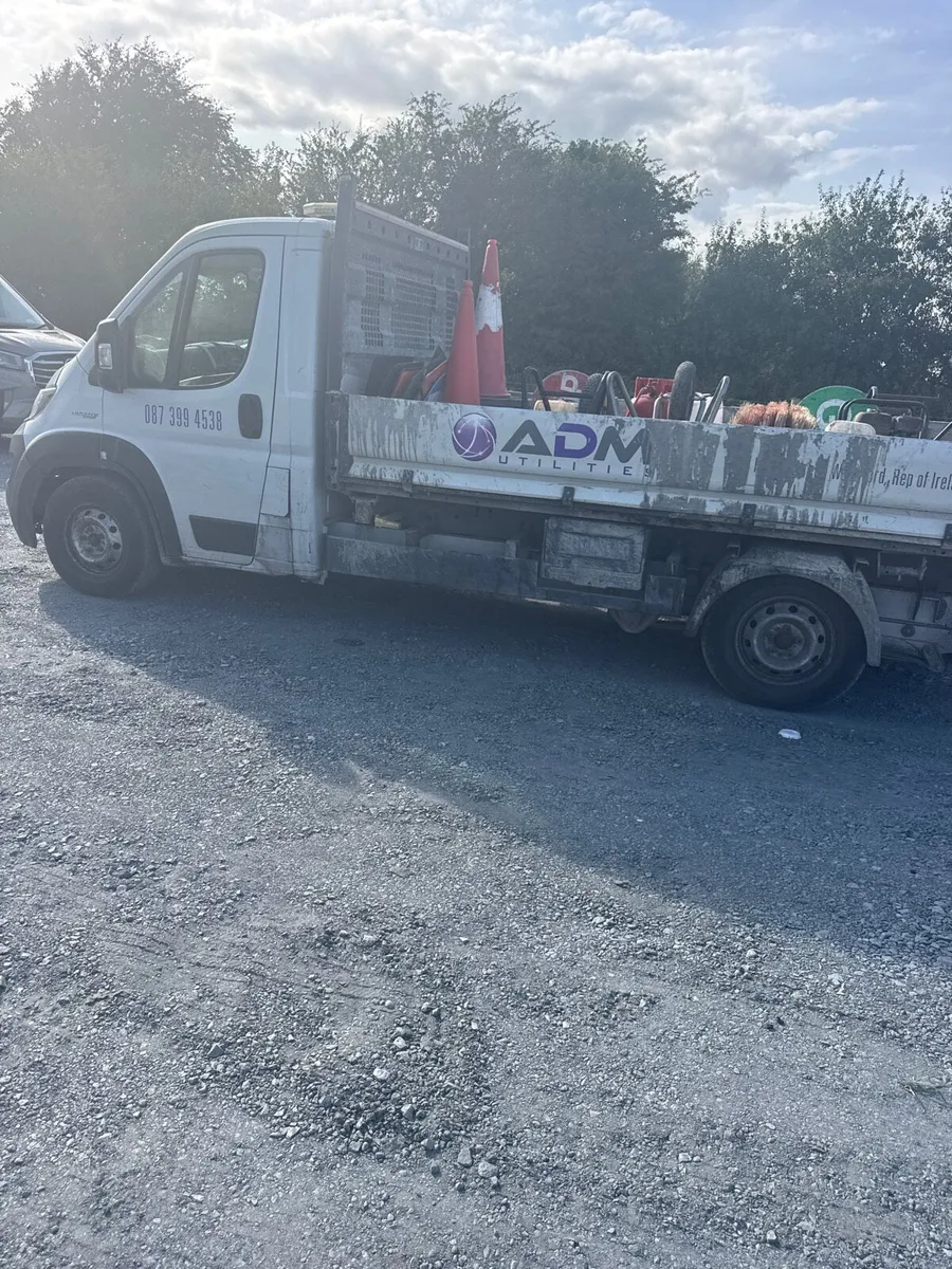 21 3 way tipper - Image 2