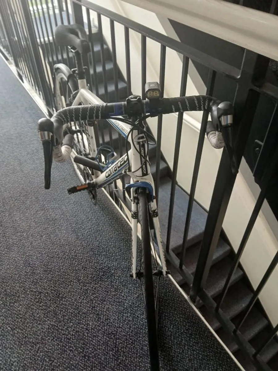 Bike - Image 3
