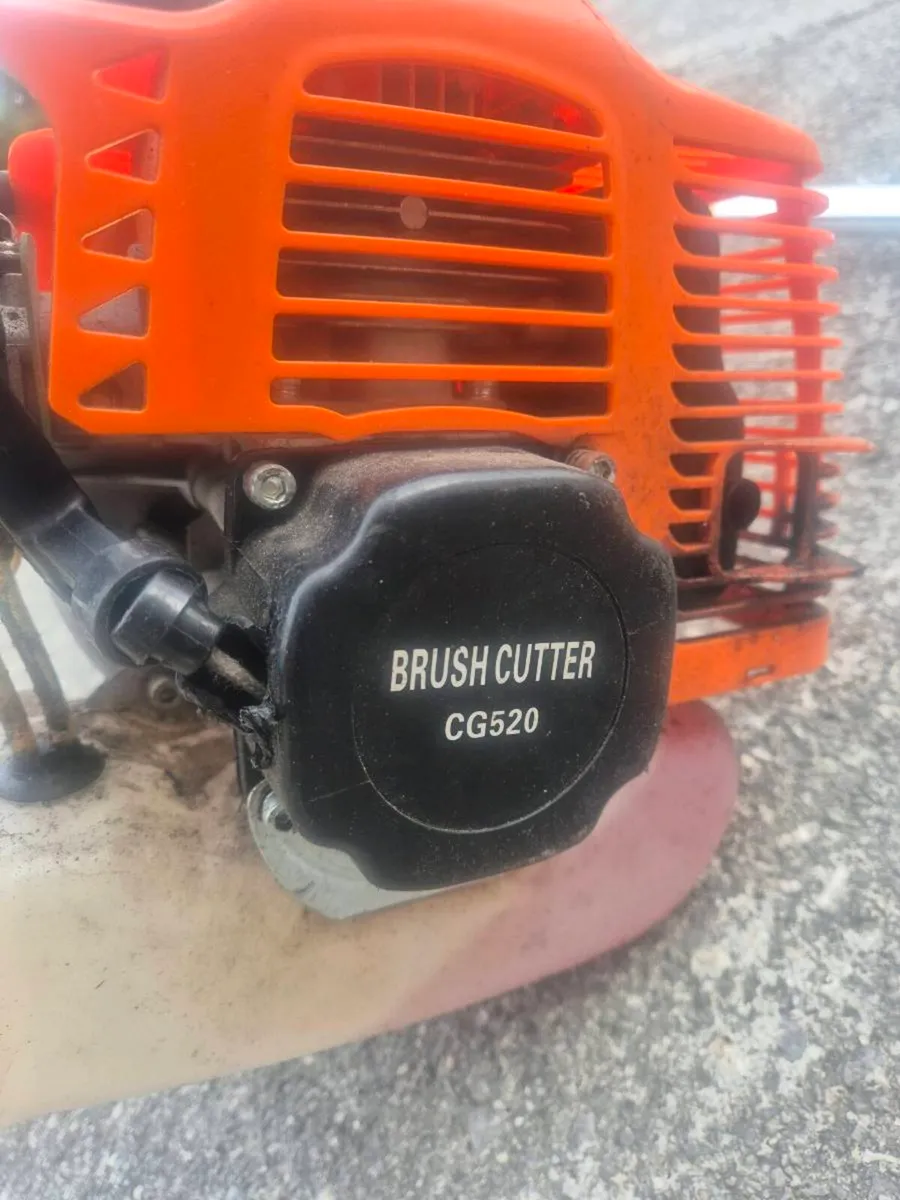 Brush cutter/ long reach hedge trimmers - Image 2