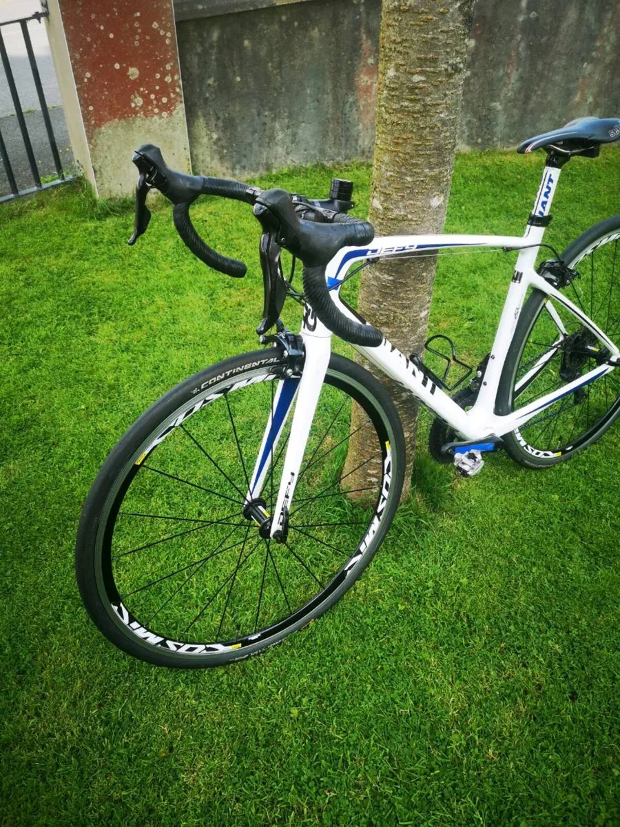 Giant defy full carbon - Image 2