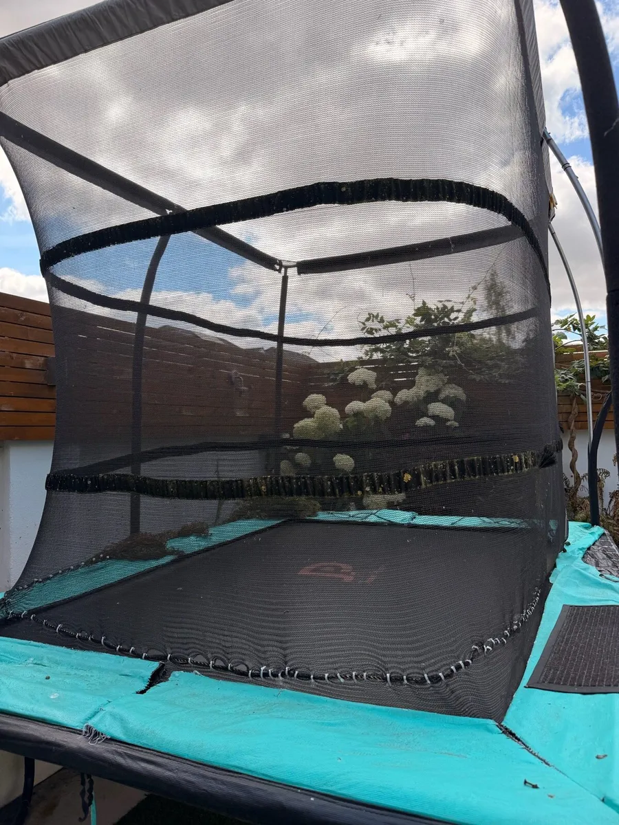 Trampoline - Image 2