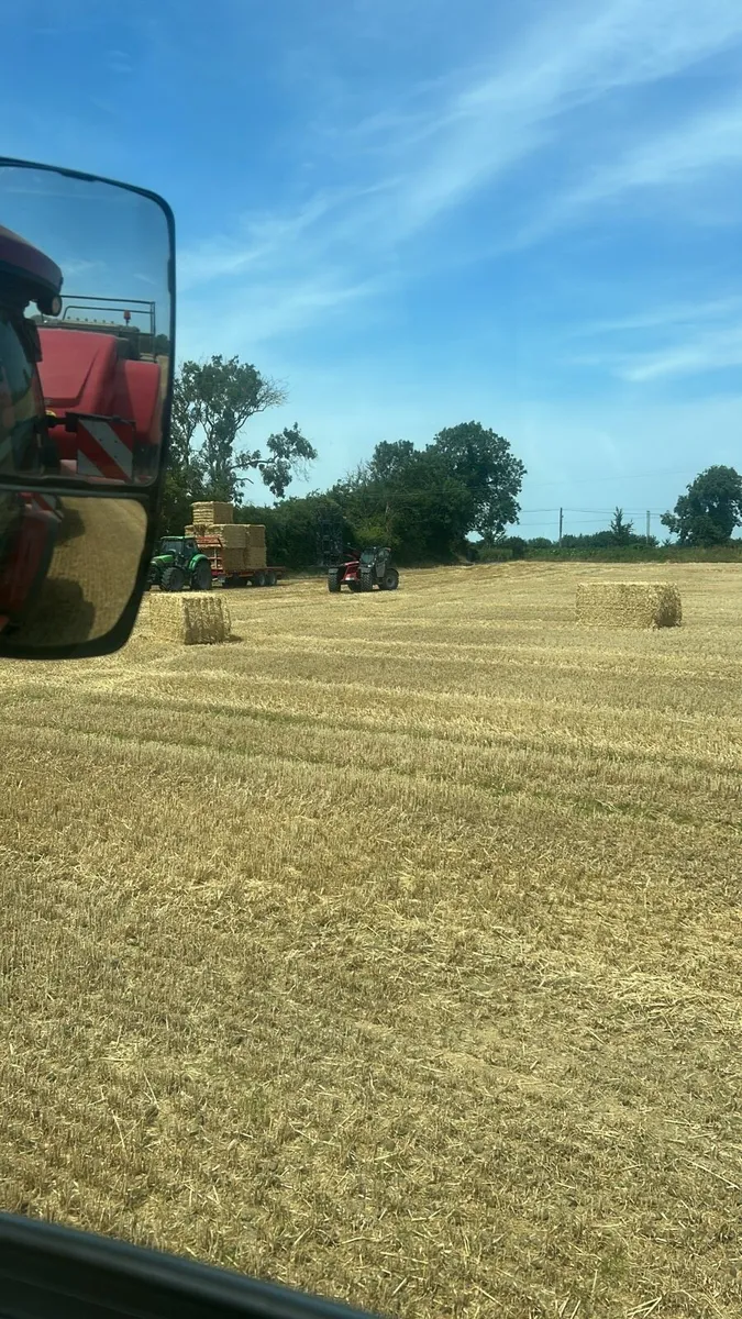 8x4x4 Large Squares Wheat/Barley Straw - Image 2