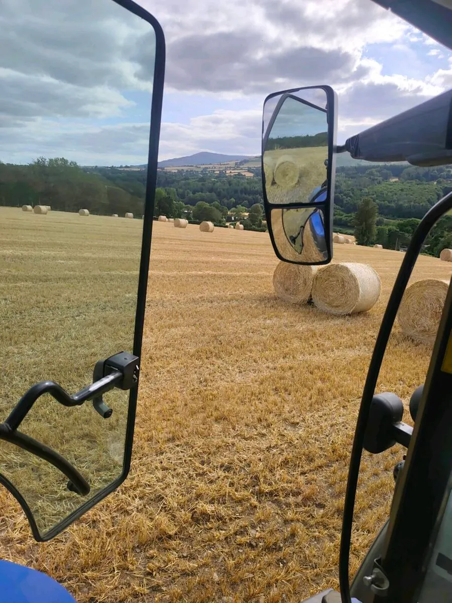 Barley straw - Image 1