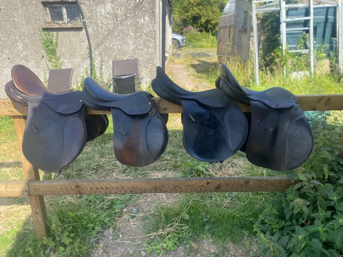 Saddles clear out 4 for 800€ - Image 2