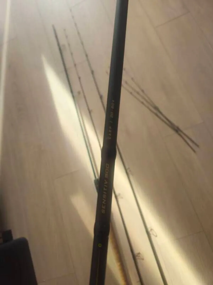 2 - 10 ft Caperlan Feeder Rods - Image 3