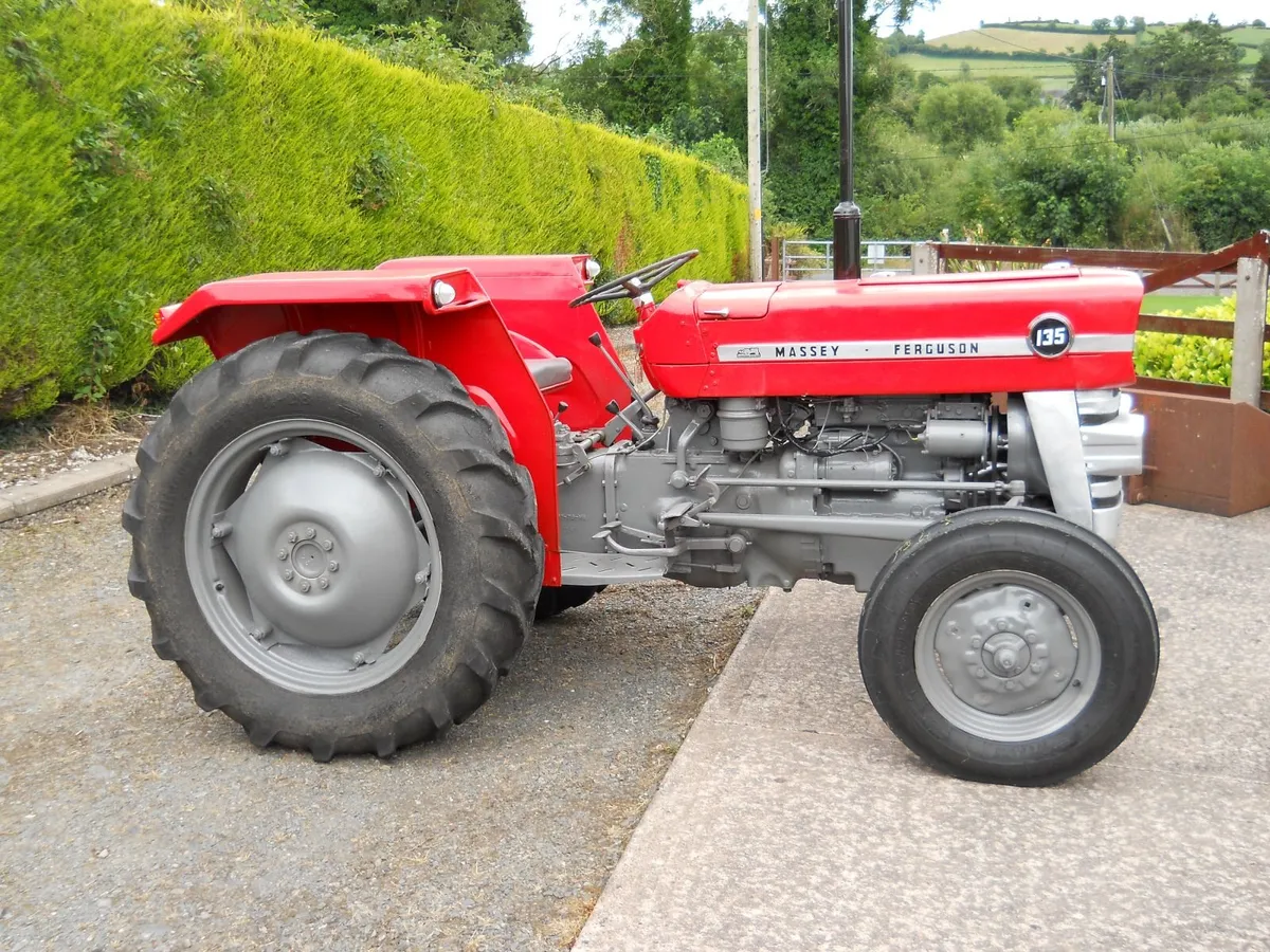 1969 Massey Ferguson 135 - Image 2