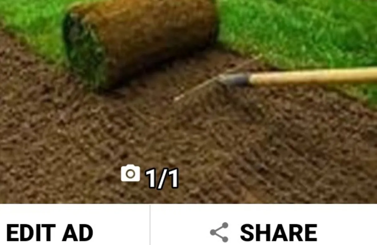 Artificial grass