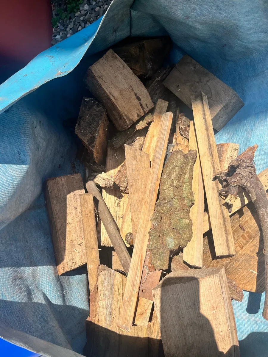 Wood for fireplace - Image 1
