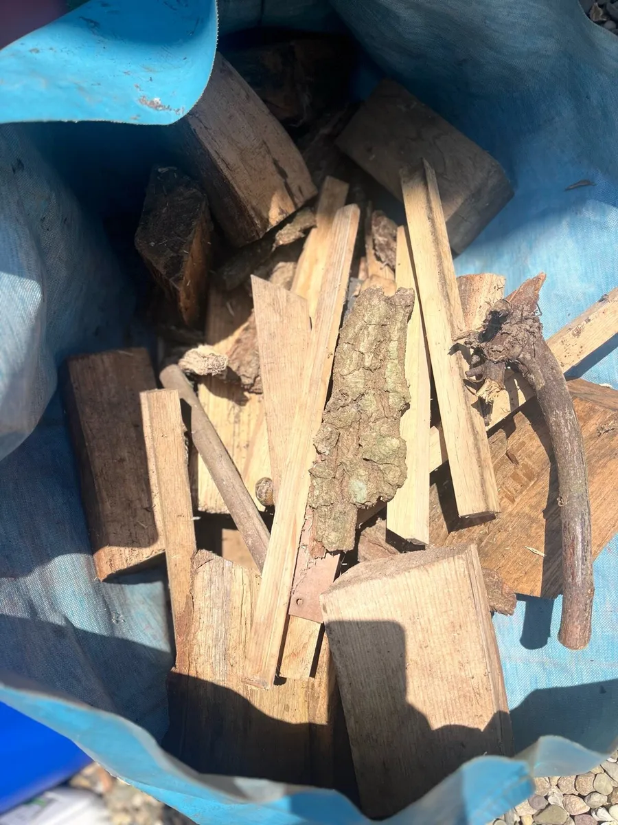 Wood for fireplace - Image 2