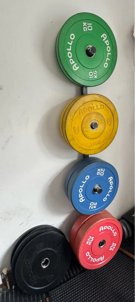 Gym Weighted Plates + Barbells (160kg Total) - Image 1