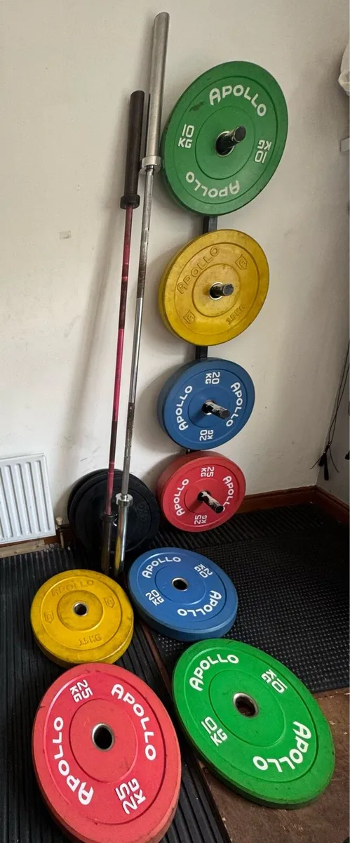 Gym Weighted Plates + Barbells (160kg Total) - Image 2
