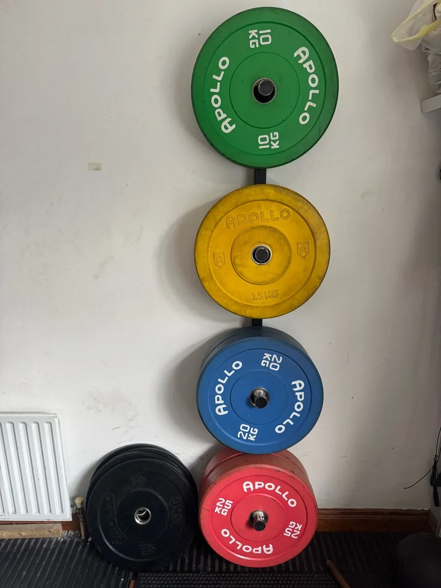 Gym Weighted Plates + Barbells (160kg Total) - Image 4