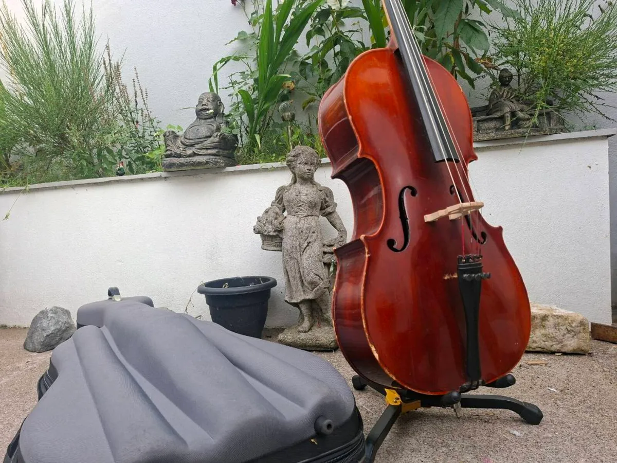 Beautiful Roderich Paesold Cello made in Germany - Image 2