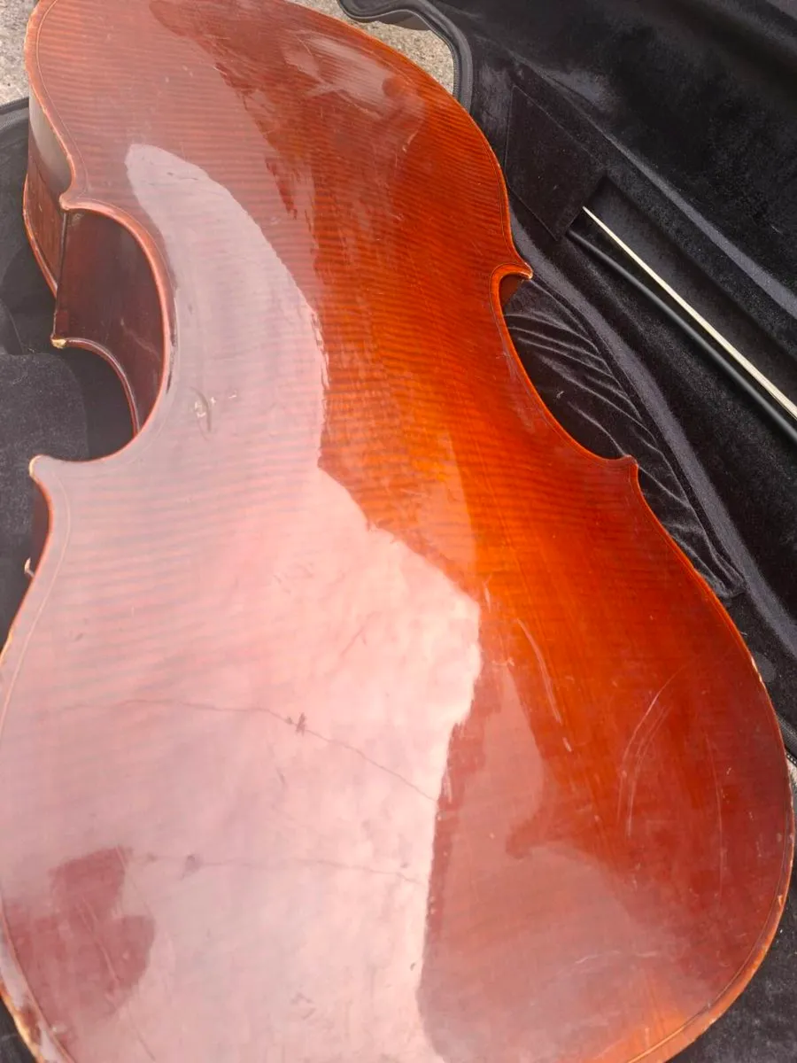 Beautiful Roderich Paesold Cello made in Germany - Image 3