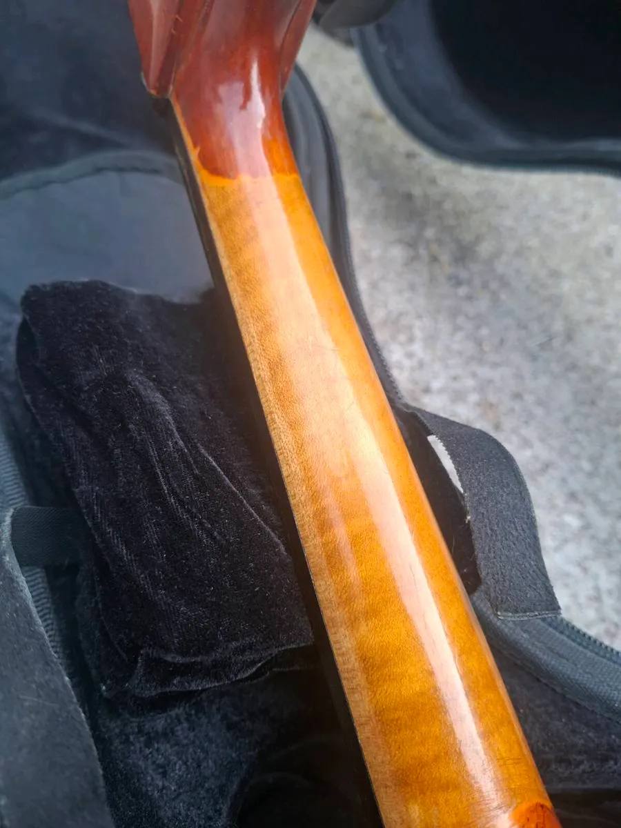 Beautiful Roderich Paesold Cello made in Germany - Image 4