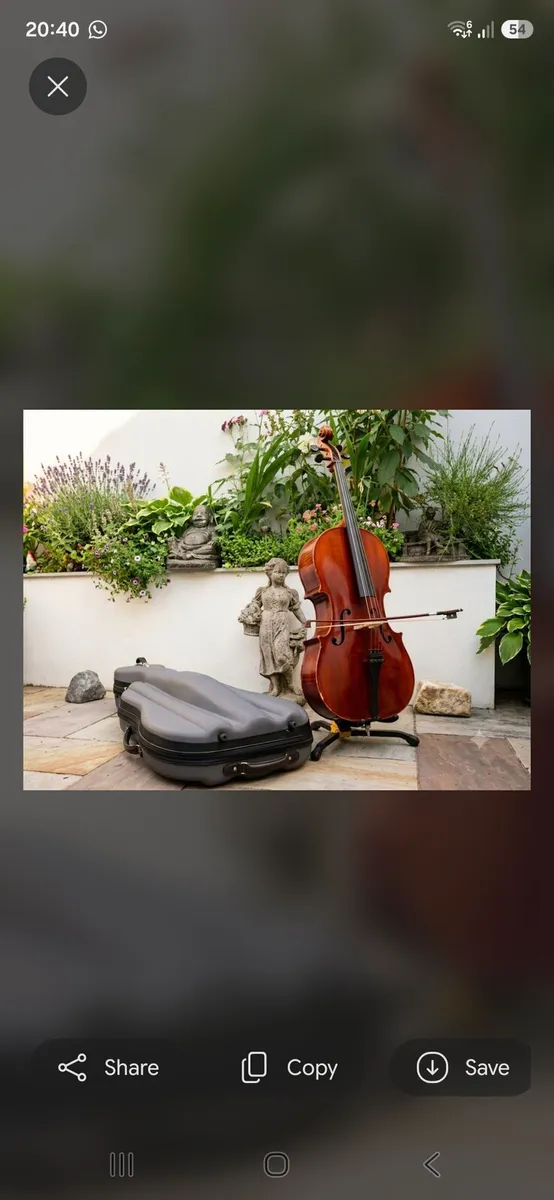 Beautiful Roderich Paesold Cello made in Germany - Image 1